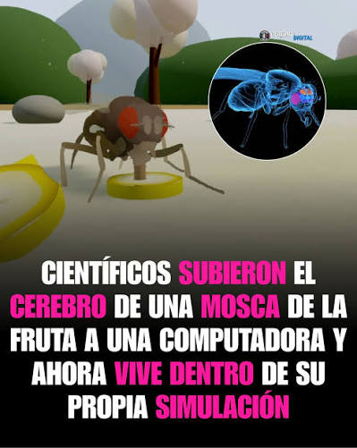 La mosca que caminó sola